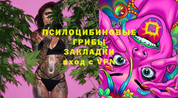прущие крисы Осташков