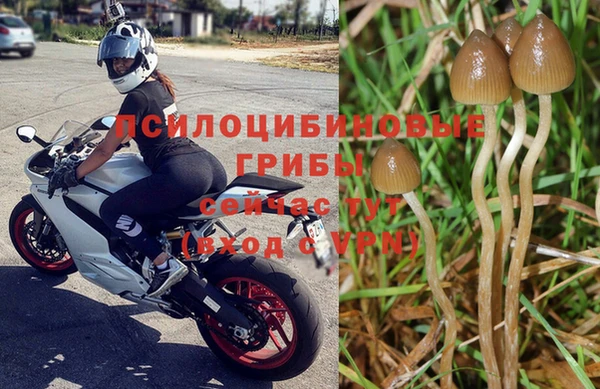 прущие крисы Осташков