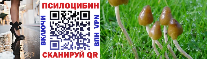 Псилоцибиновые грибы MAGIC MUSHROOMS Макушино