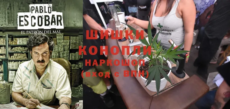 Бошки Шишки SATIVA & INDICA  МЕГА ссылка  Макушино 